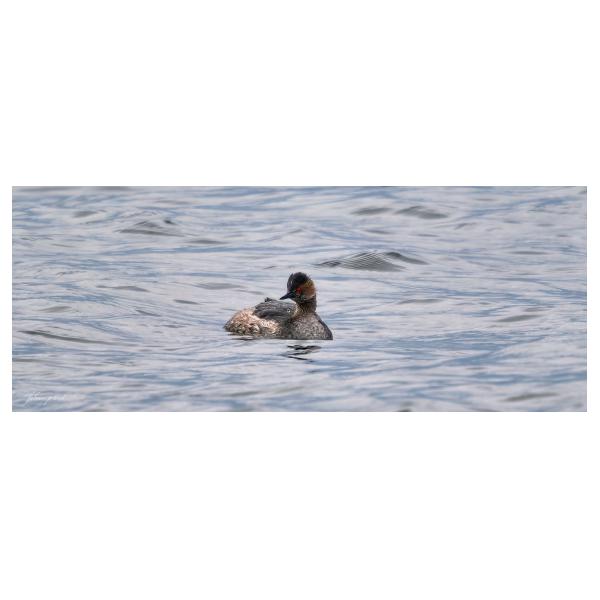 PHOTO84, CLUB, 84 , LUBERON